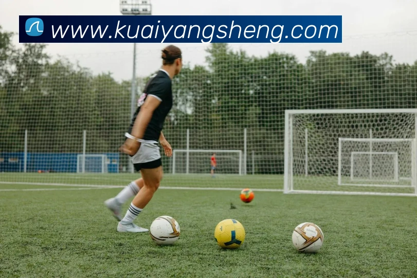 平台展示图
